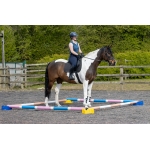 Parallax Stackable Cavalletti Pole Blocks